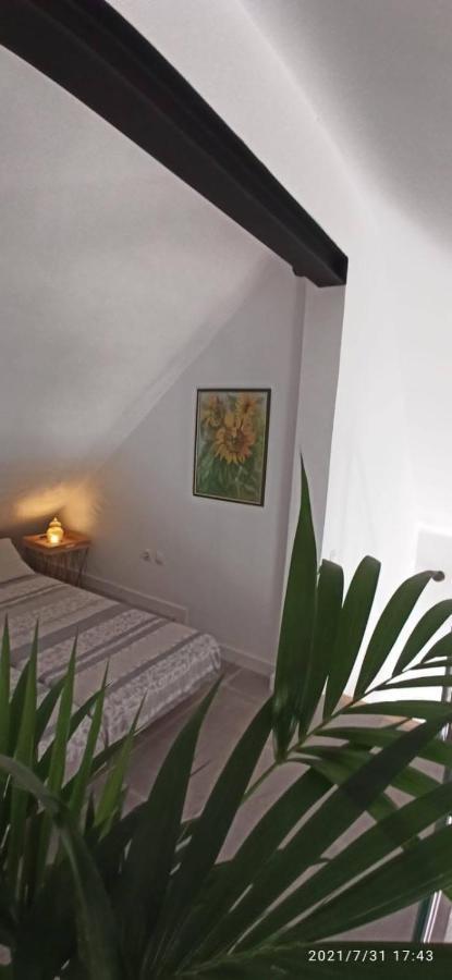 La Casita De Juani,Leoeser อากาเอเต ภายนอก รูปภาพ